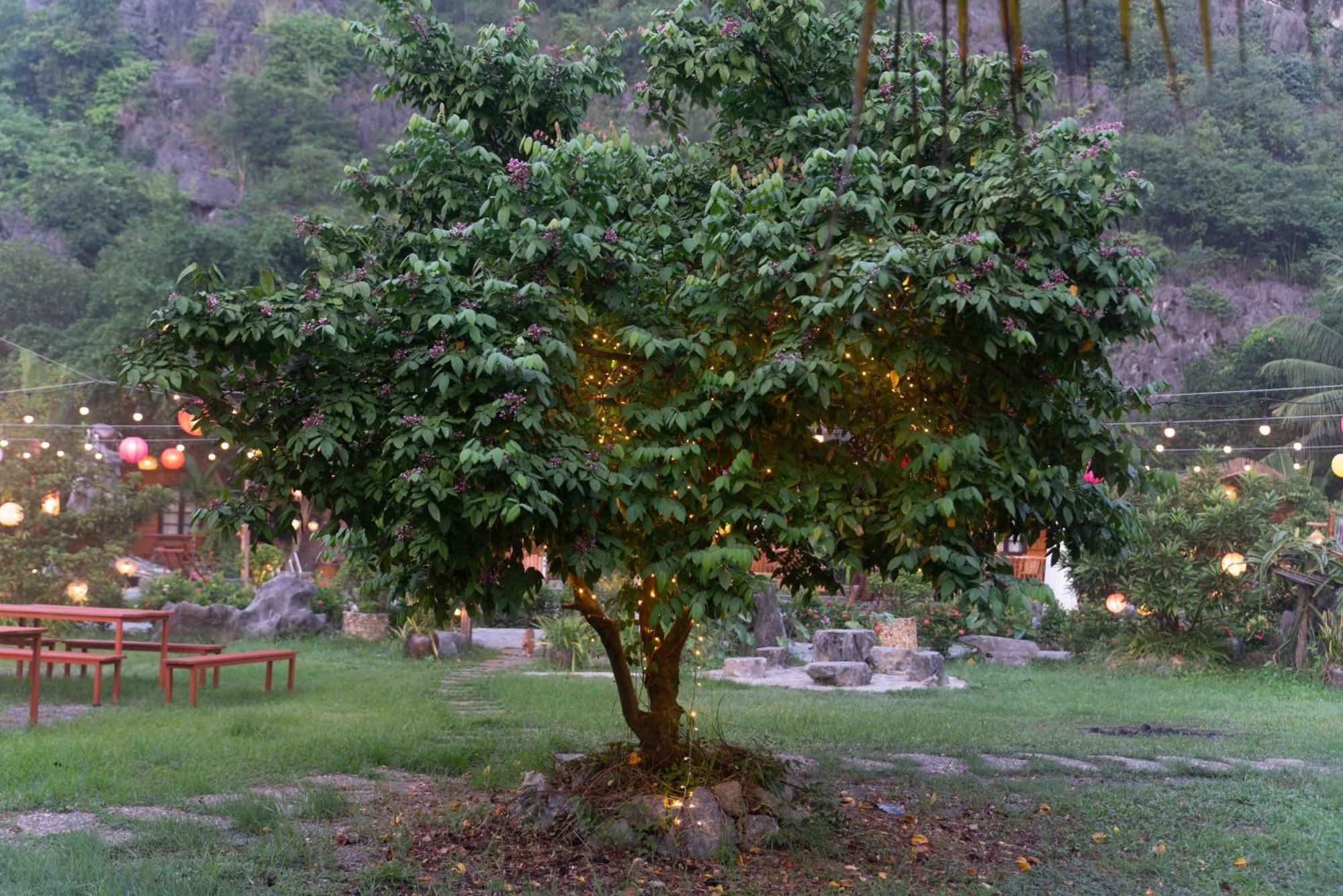 The Goat Boutique Resort Нин Бин Екстериор снимка